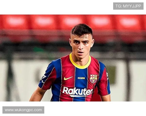 佩德里是否具备体系核心价值 佩德里是否具备体系核心价值