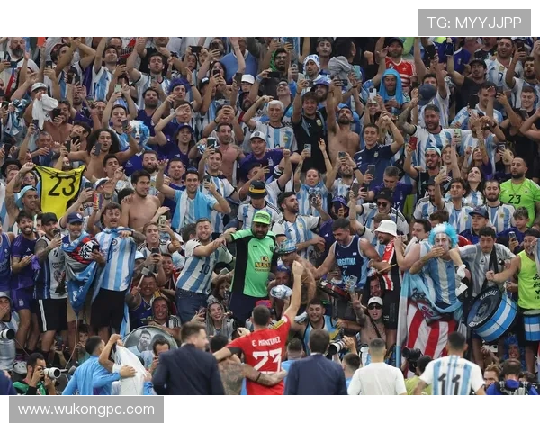 琼阿梅尼卡塔尔世界杯表现解析：中场关键性如何体现