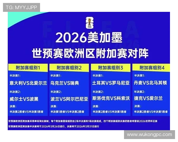 波黑2026世界杯预选赛赛程分析与出线前景预测